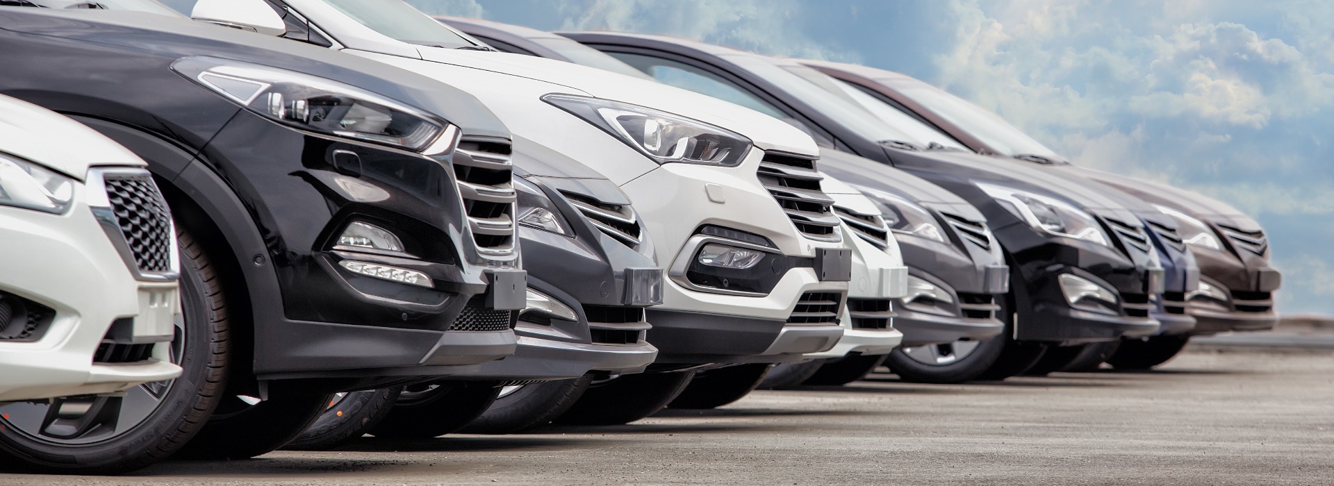 mehrere E-Autos stehen in einer Reihe